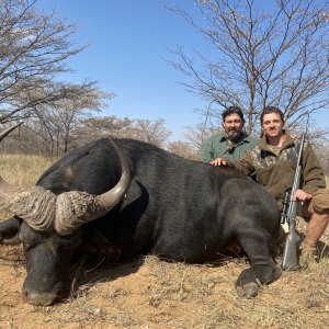 Buffalo Hunting Limpopo South Africa