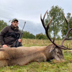 Red Stag Hunting Romania