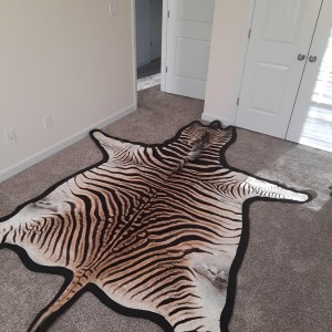 Zebra Rug