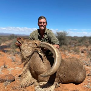 Barbary Sheep Hunt Nothern Cape South Africa