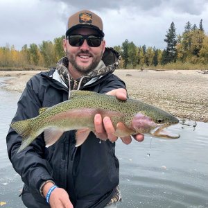 Rainbow Trout Fishing Clark Fork River