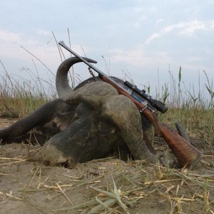 Buffalo Hunt Namibia