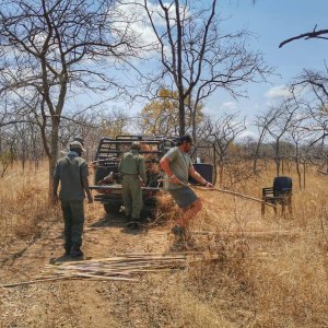 Preparing for Leopard Hunt