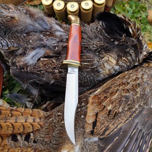 Buck 102 Woodsman Knife