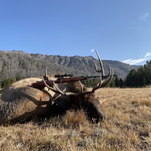 Custom 9.3 Mauser Rifle