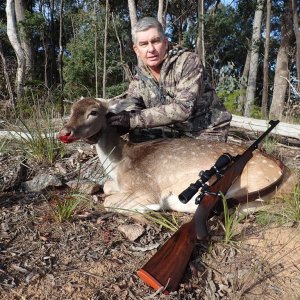 Fallow Deer Hunting Australia