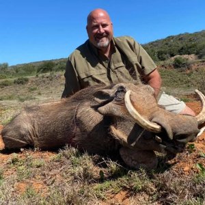 Warthog Hunting South Africa