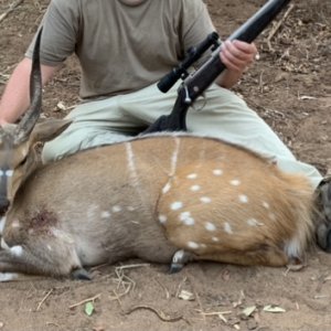 Bushbuck Hunt Zimbabwe