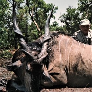 Hunting Lord Derby Eland in Central African Republic