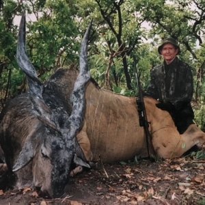 Hunting Lord Derby Eland in Central African Republic