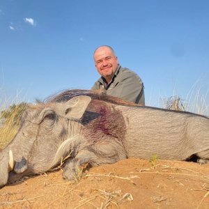 Warthog Hunt South Africa