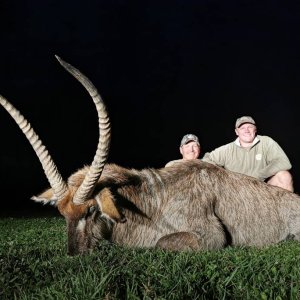 Waterbuck Hunt South Africa