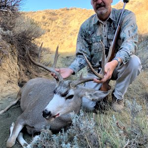 Mule Deer Hunt