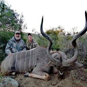 Kudu Hunting South Africa