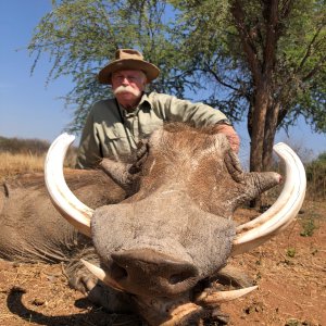 Warthog Hunt Namibia