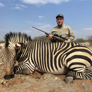 Hartmann's Zebra Hunt Namibia