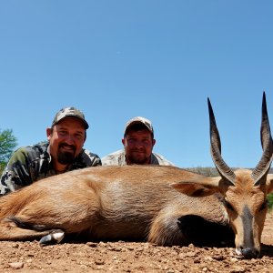 Bushbuck Hunt Limpopo South Africa