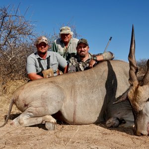 Eland Hunt Limpopo South Africa