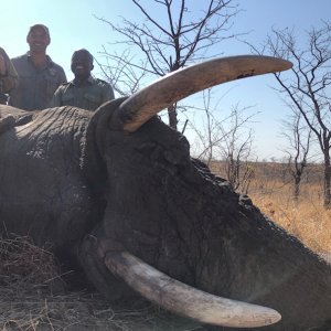 Elephant Hunt Matetsi Zimbabwe