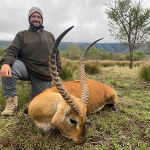 Lechwe Hunt South Africa