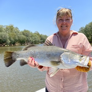 Barramundi Fishing Northern Territory Australia