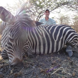 Zebra Hunt Tanzania