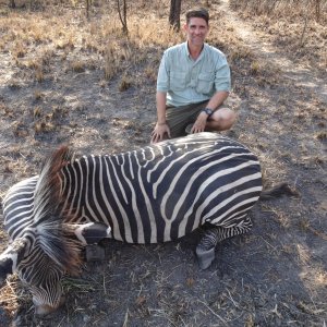 Zebra Hunt Tanzania