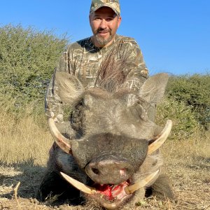 Warthog Hunt South Africa