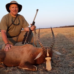 Blesbok Hunt South Africa