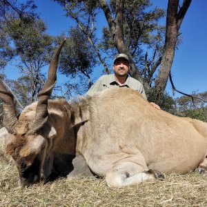 Eland Hunting South Africa