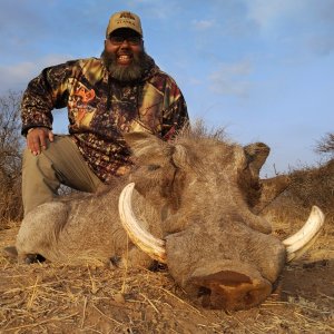 Warthog Hunting South Africa