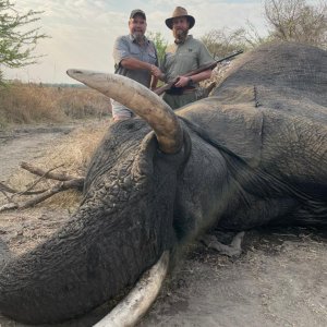 Hunting Elephant Zimbabwe