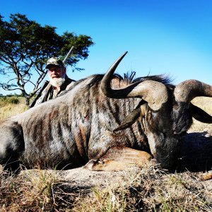 Blue Wildebeest Hunt South Africa