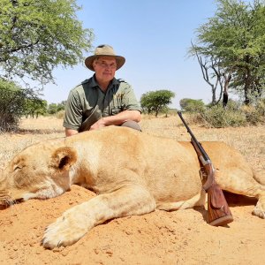 Lioness Hunt South Africa