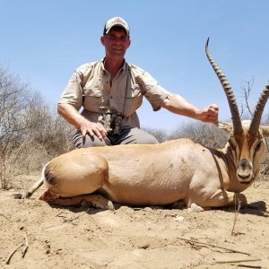 Grant’s Gazelle Hunting Massailand