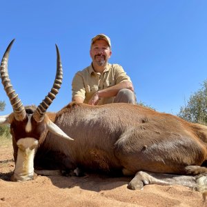 Blesbok Hunt