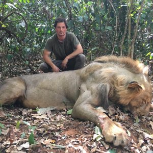 Lion Hunt In Central African Republic