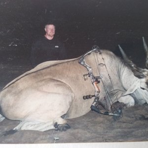 Eland Bow Hunting Namibia