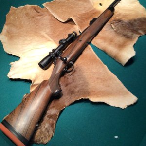 Kimber Caprivi in 458 Lott Rifle