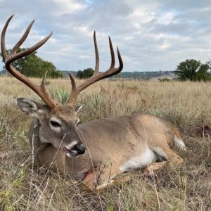 Whitetail Hunting