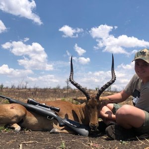 Impala Hunt Zimbabwe