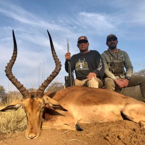 Impala Hunting South Africa