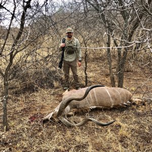 Kudu Hunting South Africa