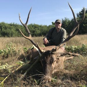 Red Deer Hunting Romania