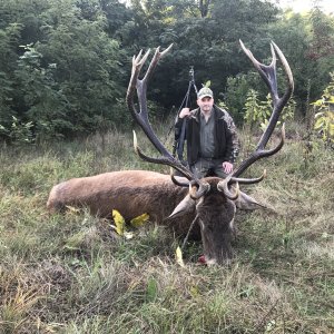 Red Deer Hunting Romania