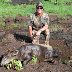 Hunting Yellow-backed Duiker Central African Republic