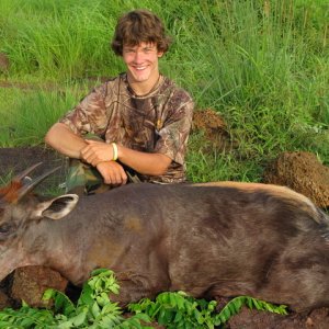 Hunting Yellow-backed Duiker Central African Republic