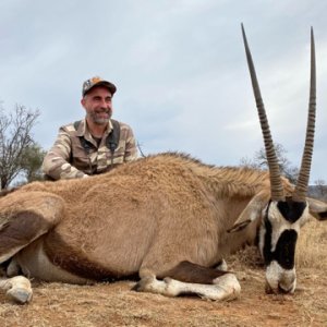 Gemsbok Hunt Eastern Cape South Africa