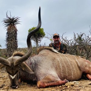 Kudu Hunt Eastern Cape South Africa