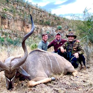 Kudu Hunt Eastern Cape South Africa